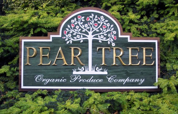 Pear Tree Sandblasted and 3D Carved Sign Raised Letters - v-cut prismatic letters - 24 carat Gold Leaf